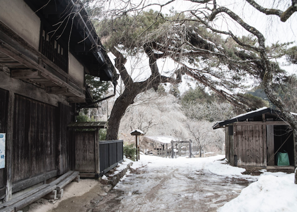 追跡 日本の妖怪 妖怪ツチノコを追う 其の一 Discovery Channel Japan ディスカバリーチャンネル