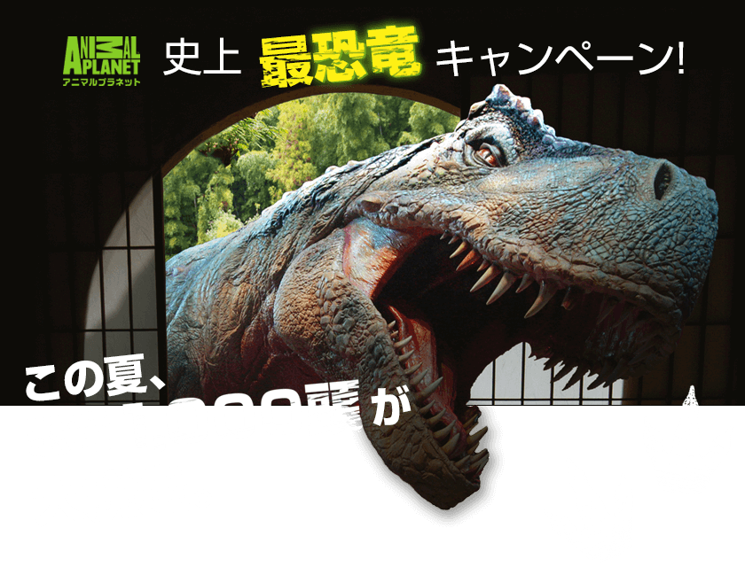アニマルプラネット史上最恐竜キャンペーン!