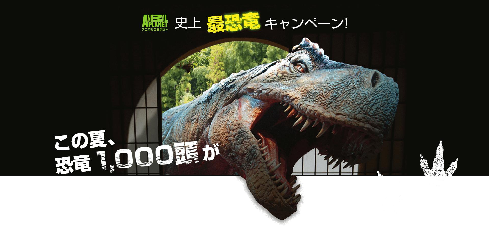 アニマルプラネット史上最恐竜キャンペーン!