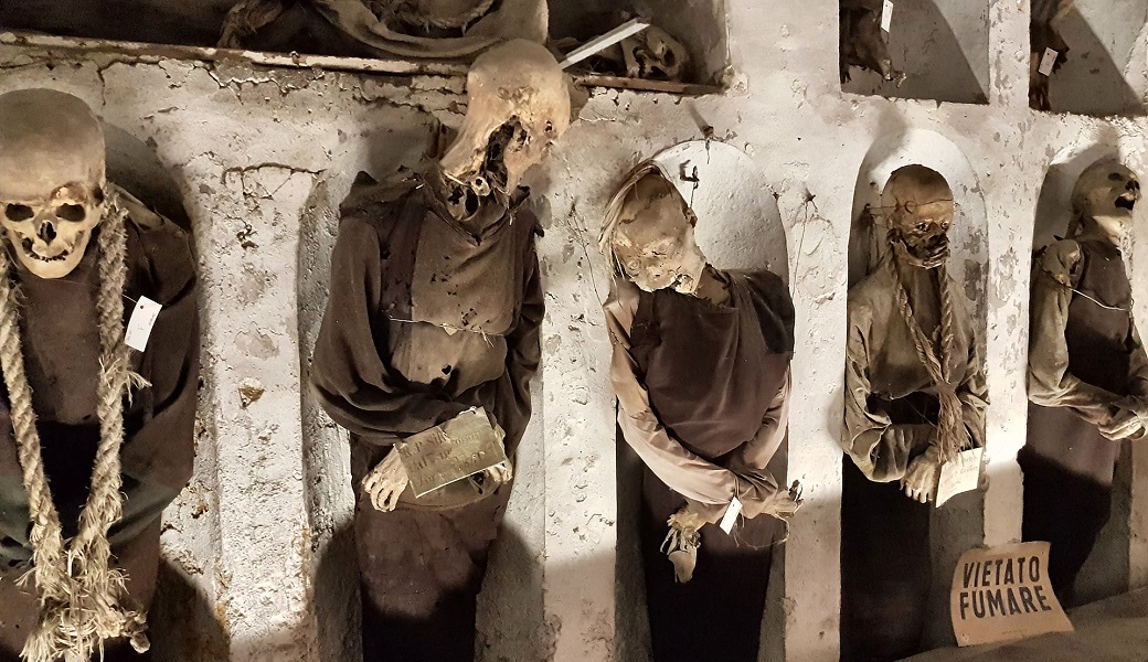 トリビア ページ 3 Discovery Channel Japan ディスカバリーチャンネル