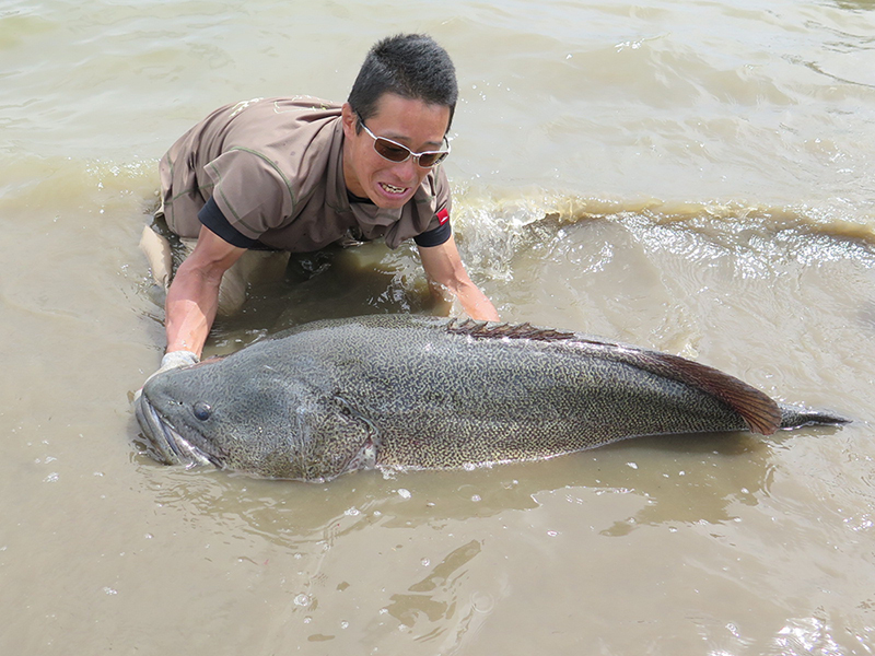 元祖怪魚ハンター 武石憲貴 降臨 怪魚逸話連載 怪魚ハンターへの道 最終話 全3回 エンタメ ニュース My J Com テレビ番組 視聴情報 動画が満載
