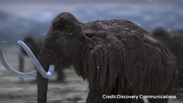 蘇れ!氷河期の生き物たち
