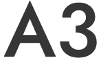 A3