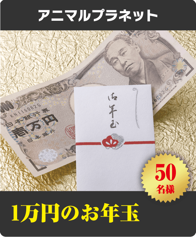 1万円のお年玉