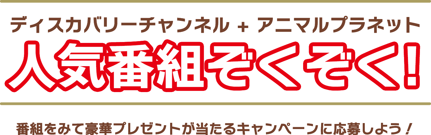 ディスカバリーチャンネル+アニマルプラネット 人気番組ぞくぞく!